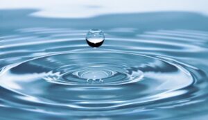 Házi szennyvíztisztítás