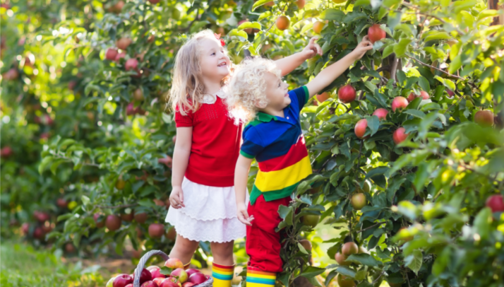 Hatékonyság a Greenman Agroval