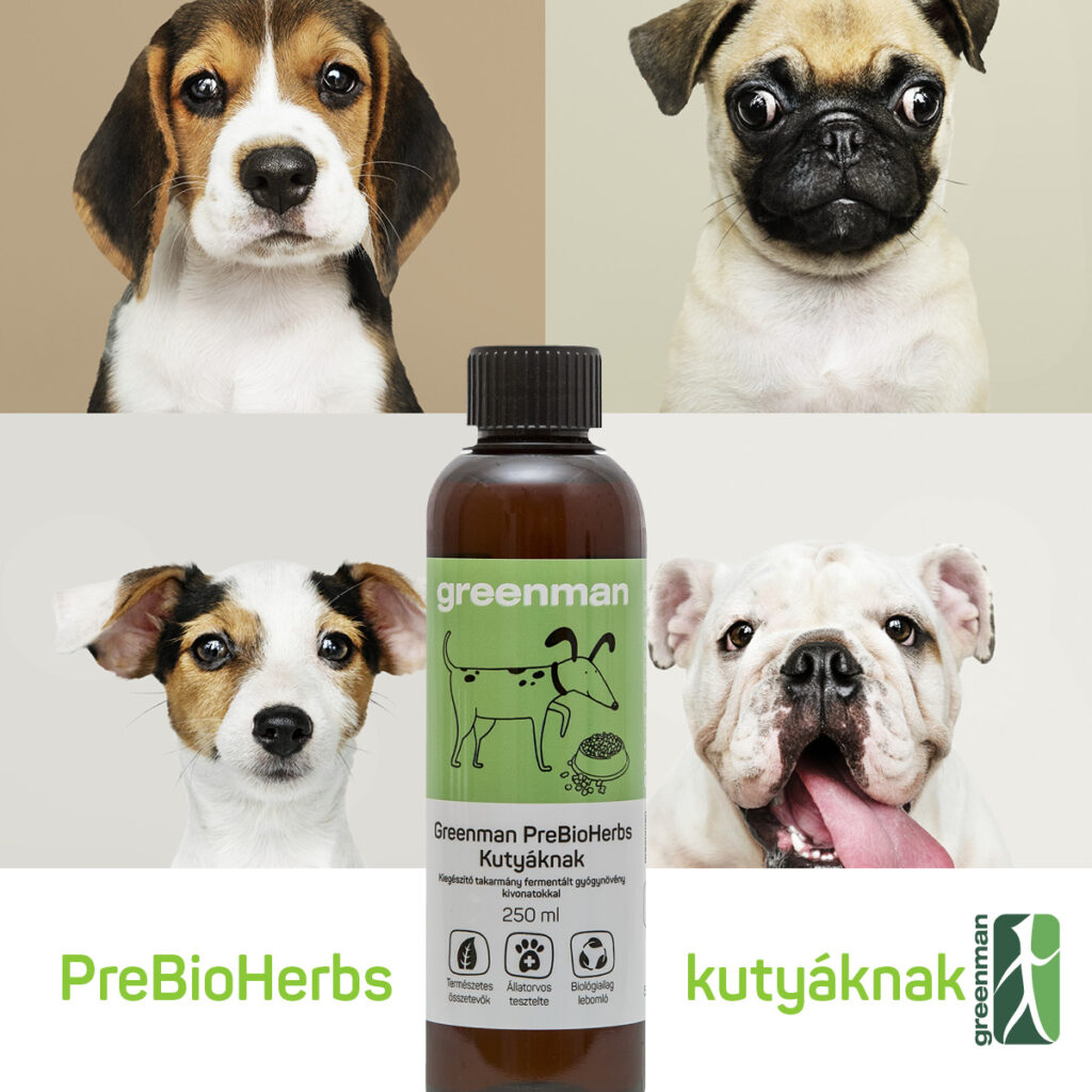 Greenman PreBioHerbs Kutyáknak