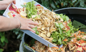 Mi kerülhet a komposztálóba? Komposzt gyorsítás, komposzt gyorsító adalék, folyadék