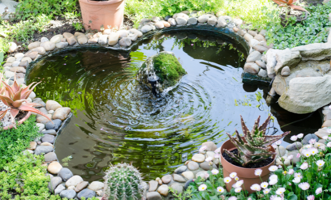 Tó algásodása ellen