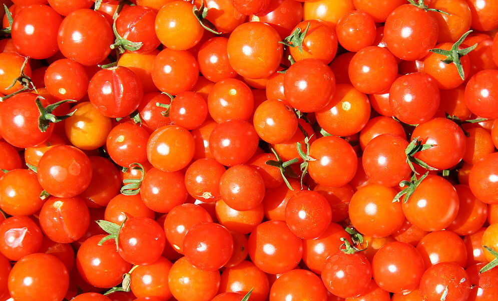 Paradicsom, https://commons.wikimedia.org/wiki/File:Cherry_tomatoes.jpg