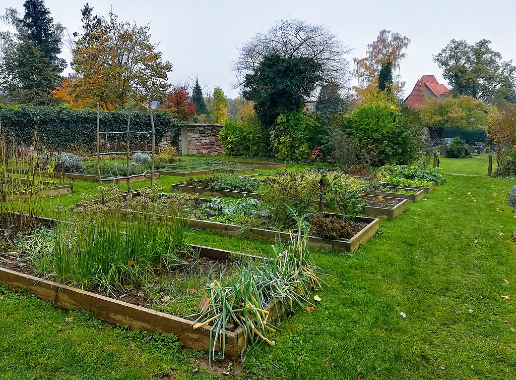 Tavaszi lemosó permetezés. Konyhakerti fűszerek természetesen, vegyszermentesen - Nemracc, CC BY-SA 4.0 , via Wikimedia Commons