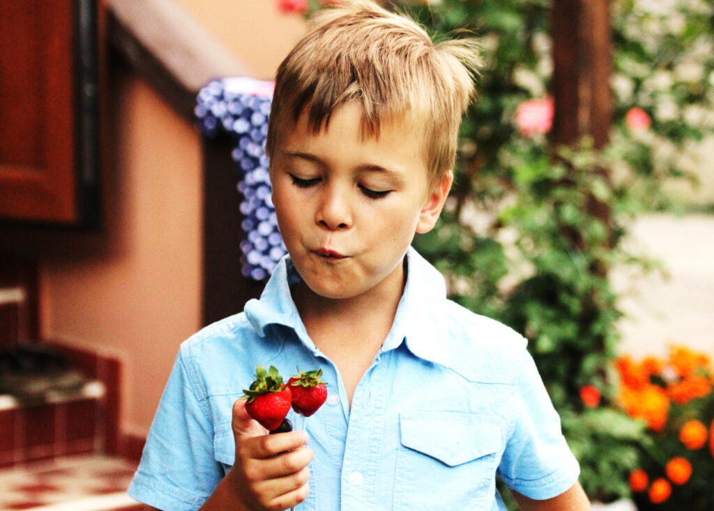 Bio gyümölcsök fogyasztása - Source: pxfuel.com