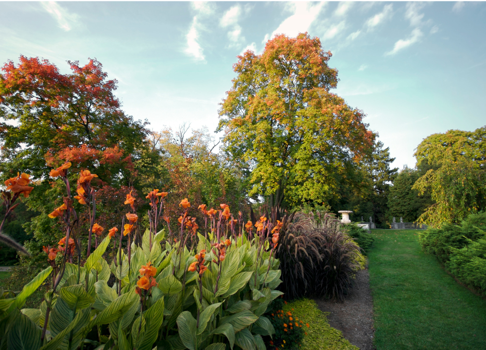 Őszi lemosó permetezés