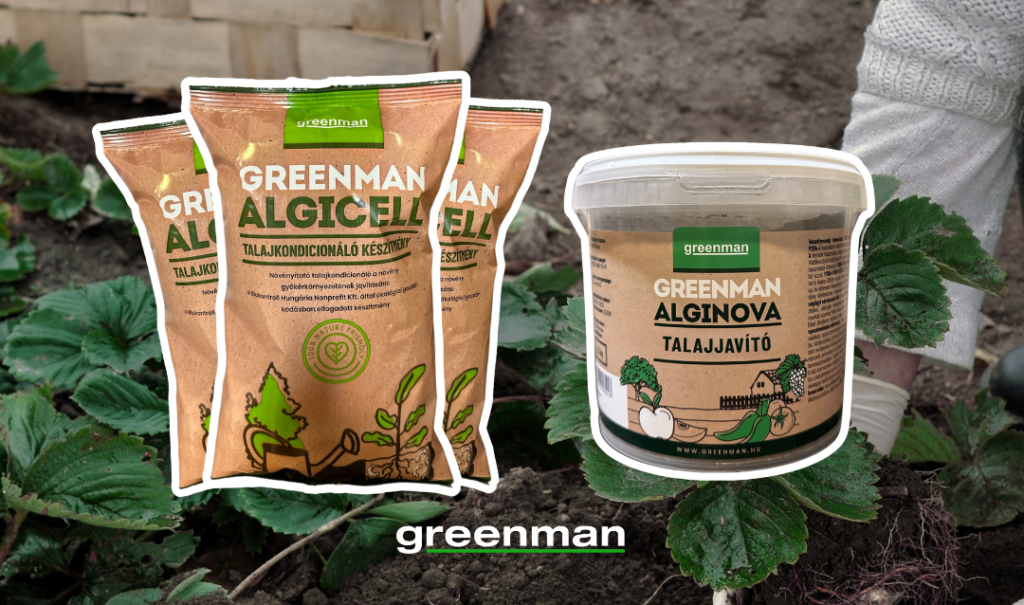 Blog kiemelt kép - AlgiCell AlgiNova