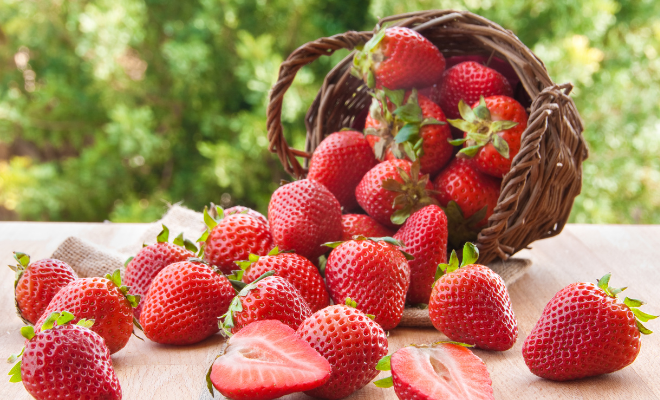 Eper betegségei gondozása