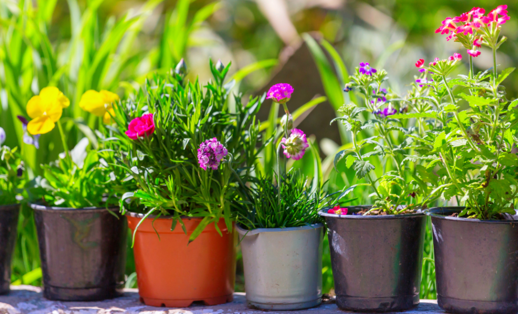 Áprilisi kertészeti teendők