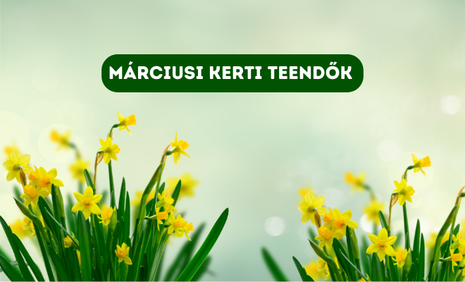 Márciusi kerti teendők