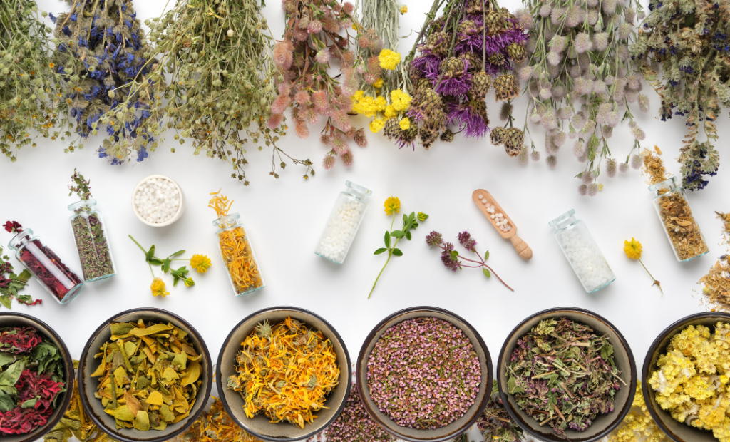 Gyógynövények a kertben