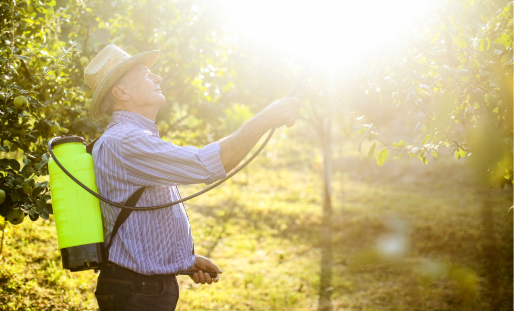 Őszi lemosó permetezés