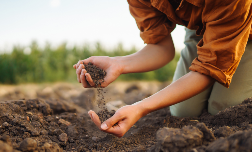 Semmiképp ne hagyd ki: Talajjavítás ősszel