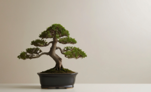 Bonsai-fa gondozása