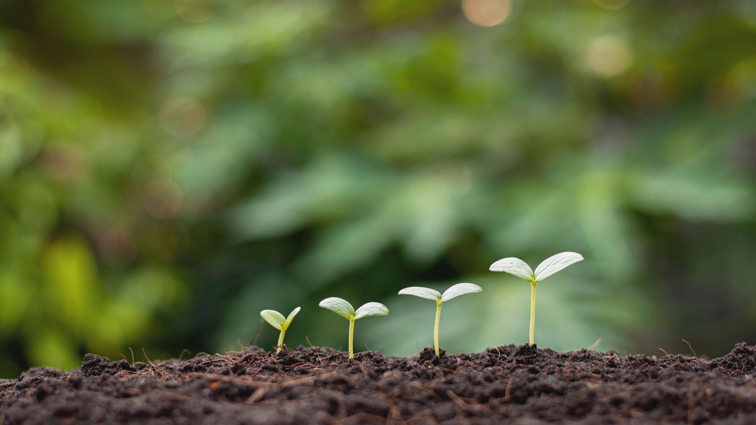 Greenman Probiotikus Technológia