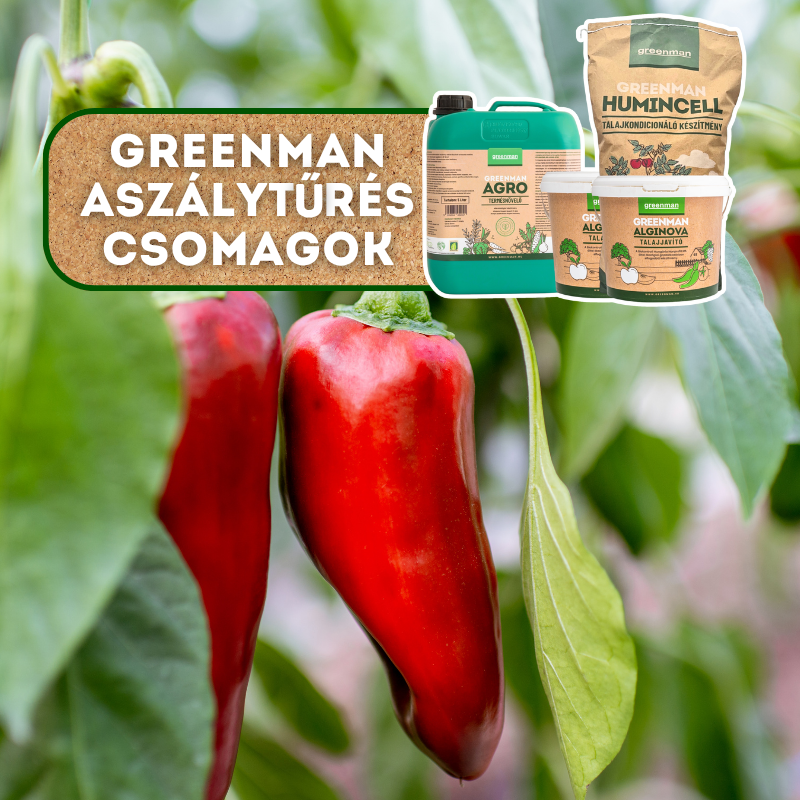 Greenman Aszálytűrés csomagok