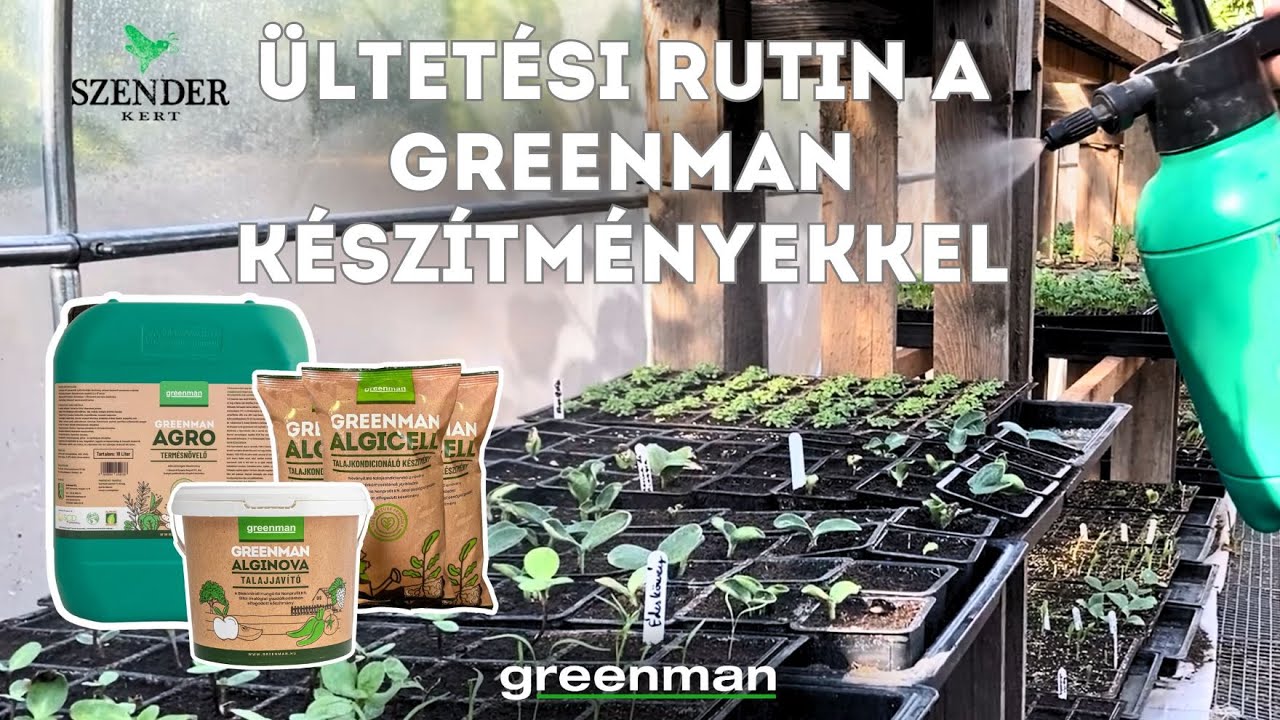 GREENMAN x Szender Kert - Ültetési rutin bemutatása a Greenman készítményekkel